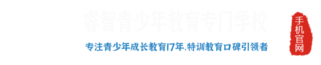 睿智教育专门学校logo